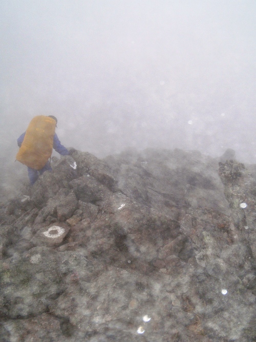 c0177814_105356.jpg