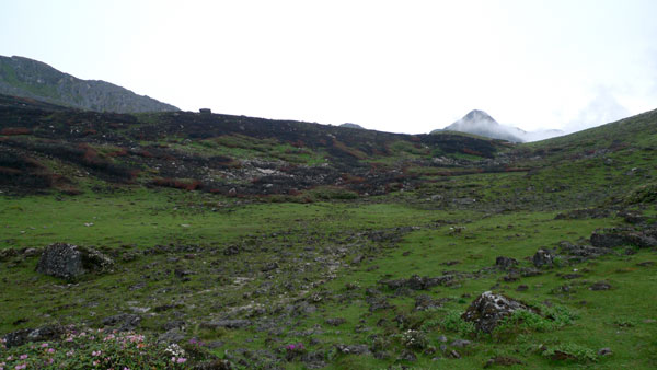f0115214_15283485.jpg