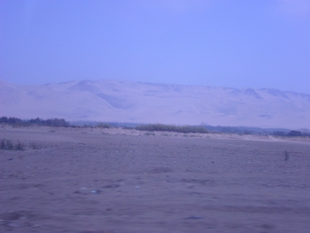 e0049015_2544215.jpg
