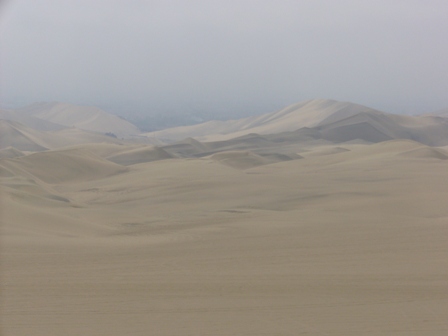 e0049015_359438.jpg