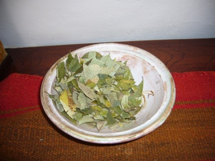 e0049015_535848.jpg