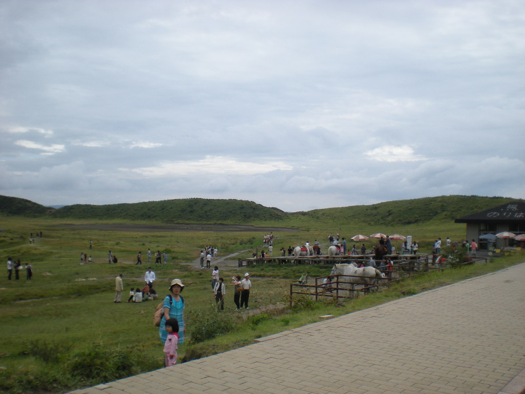 帰り路_a0125419_21452281.jpg