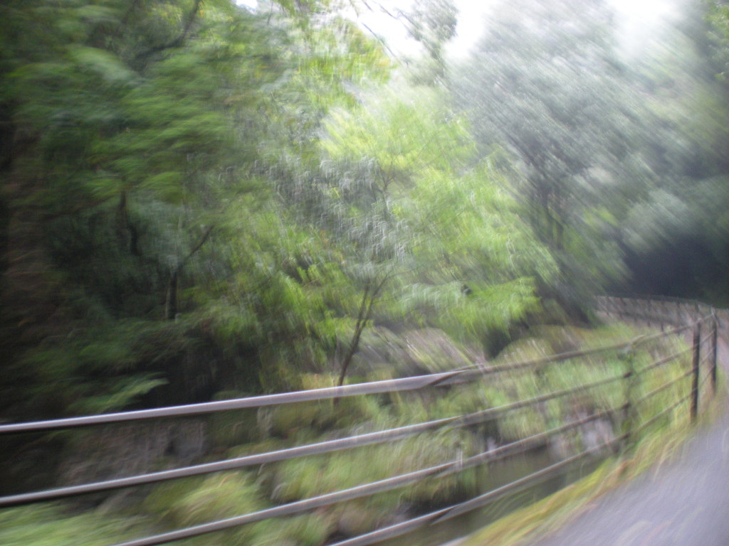 帰り路_a0125419_21544744.jpg