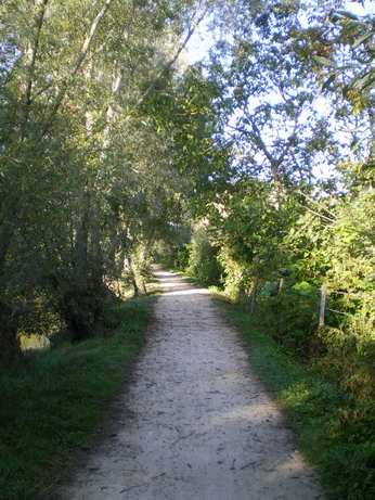 c0124619_1153439.jpg
