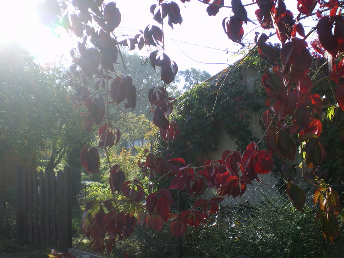c0124619_1171843.jpg