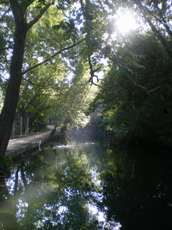c0124619_1185957.jpg