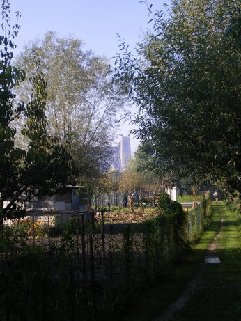 c0124619_123659.jpg