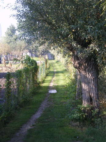 c0124619_1274230.jpg