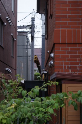 f0170524_123922100.jpg
