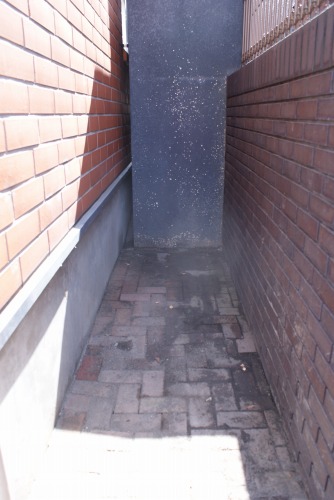 f0170524_1241136.jpg