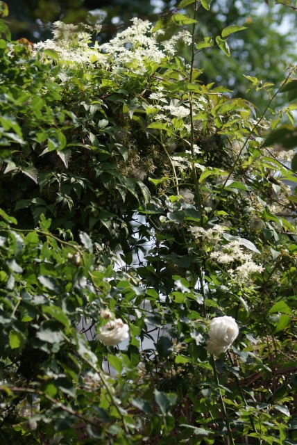 f0170524_12564080.jpg