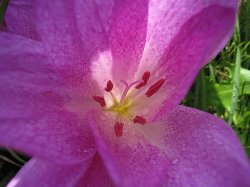 b0168830_9372687.jpg