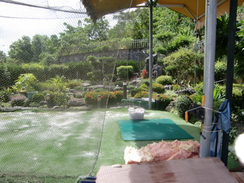 c0183137_12173.jpg
