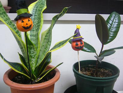 ハロウィーン♪♪_a0020949_23492711.jpg