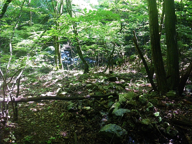 c0060452_20501855.jpg