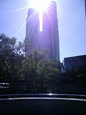 携帯撮影_f0044056_20412639.jpg