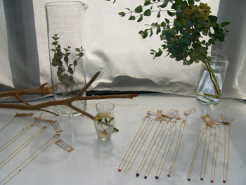 f0203164_19384911.jpg
