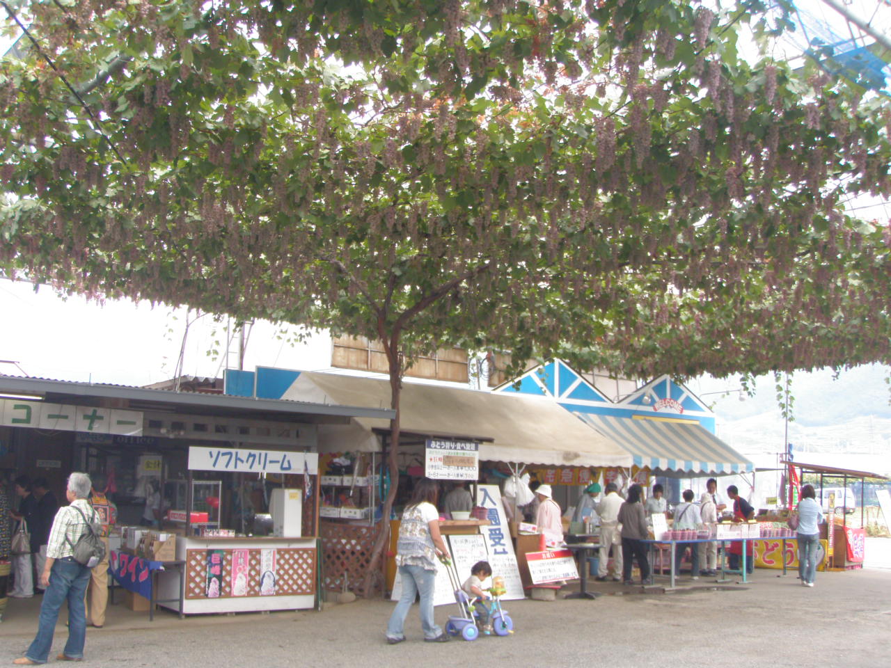 c0110366_1119875.jpg