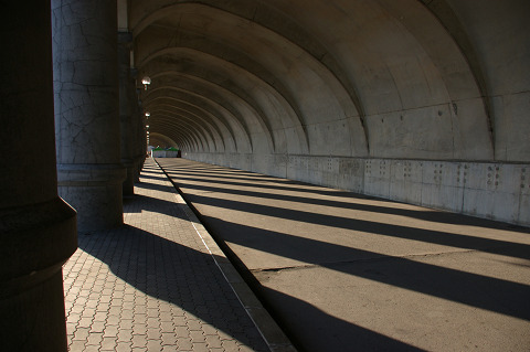 e0045768_223616.jpg