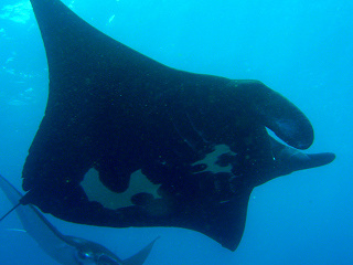c0131970_0133642.jpg