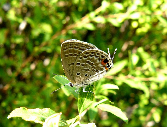 d0019074_2073411.jpg