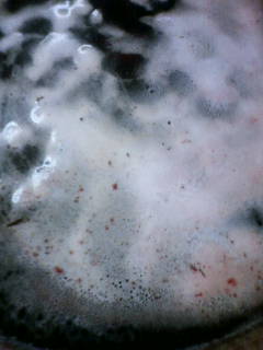 e0055980_21184463.jpg