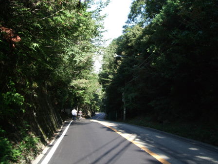 篠山へ－自走ルートを探して（前編：宝塚～切畑～有馬富士～新三田～篠山）_e0138081_17425468.jpg