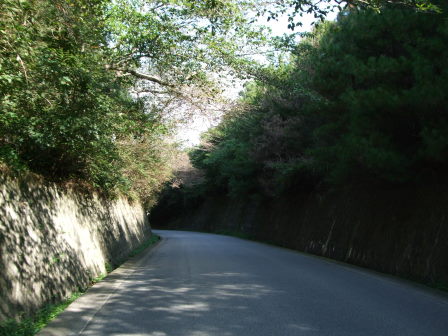 篠山へ－自走ルートを探して（前編：宝塚～切畑～有馬富士～新三田～篠山）_e0138081_17462089.jpg