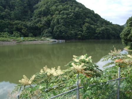 篠山へ－自走ルートを探して（前編：宝塚～切畑～有馬富士～新三田～篠山）_e0138081_17555138.jpg