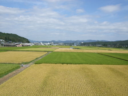 篠山へ－自走ルートを探して（前編：宝塚～切畑～有馬富士～新三田～篠山）_e0138081_18102019.jpg