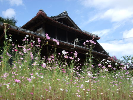 篠山へ－自走ルートを探して（前編：宝塚～切畑～有馬富士～新三田～篠山）_e0138081_1819306.jpg