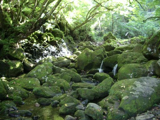 鳥海山ひとり旅＾＾_c0144683_19593191.jpg