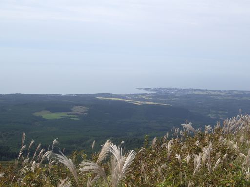 鳥海山ひとり旅＾＾_c0144683_2073838.jpg