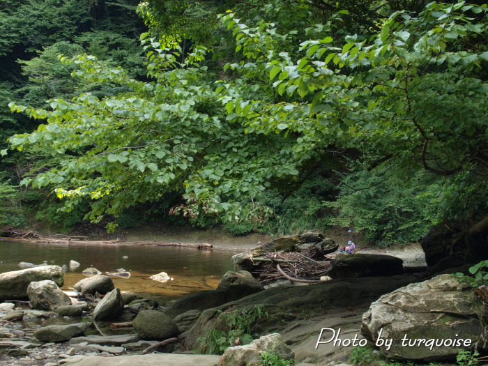 c0201284_83984.jpg