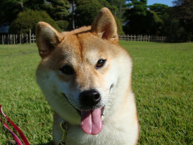 早く寝なきゃ!_a0126590_2030434.jpg