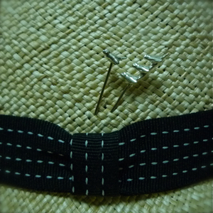 cotori pin_f0202591_14352927.jpg