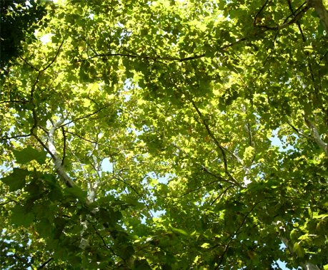 d0129295_14342178.jpg