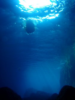 f0079996_17242762.jpg