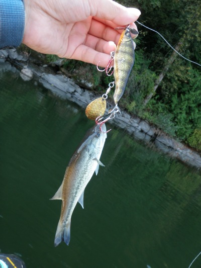 H湖で沢山釣れましたで賞。(笑)_d0145899_1215853.jpg