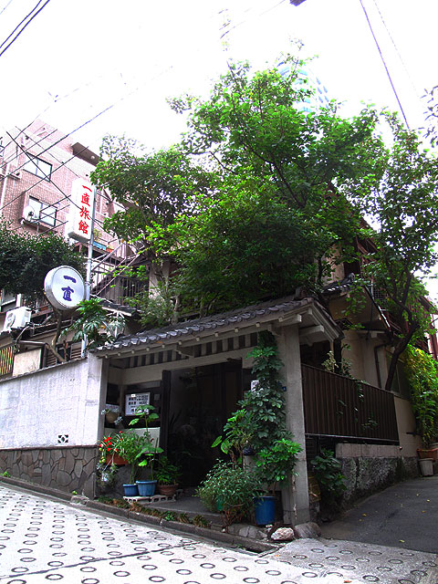 十二社 じゅうにそう の池 新宿区西新宿 東京の水 09 Fragments
