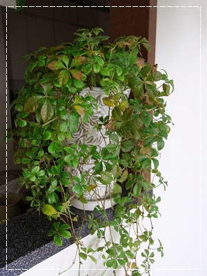 f0203406_827512.jpg