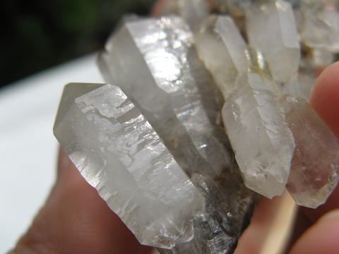 e0139012_2210464.jpg