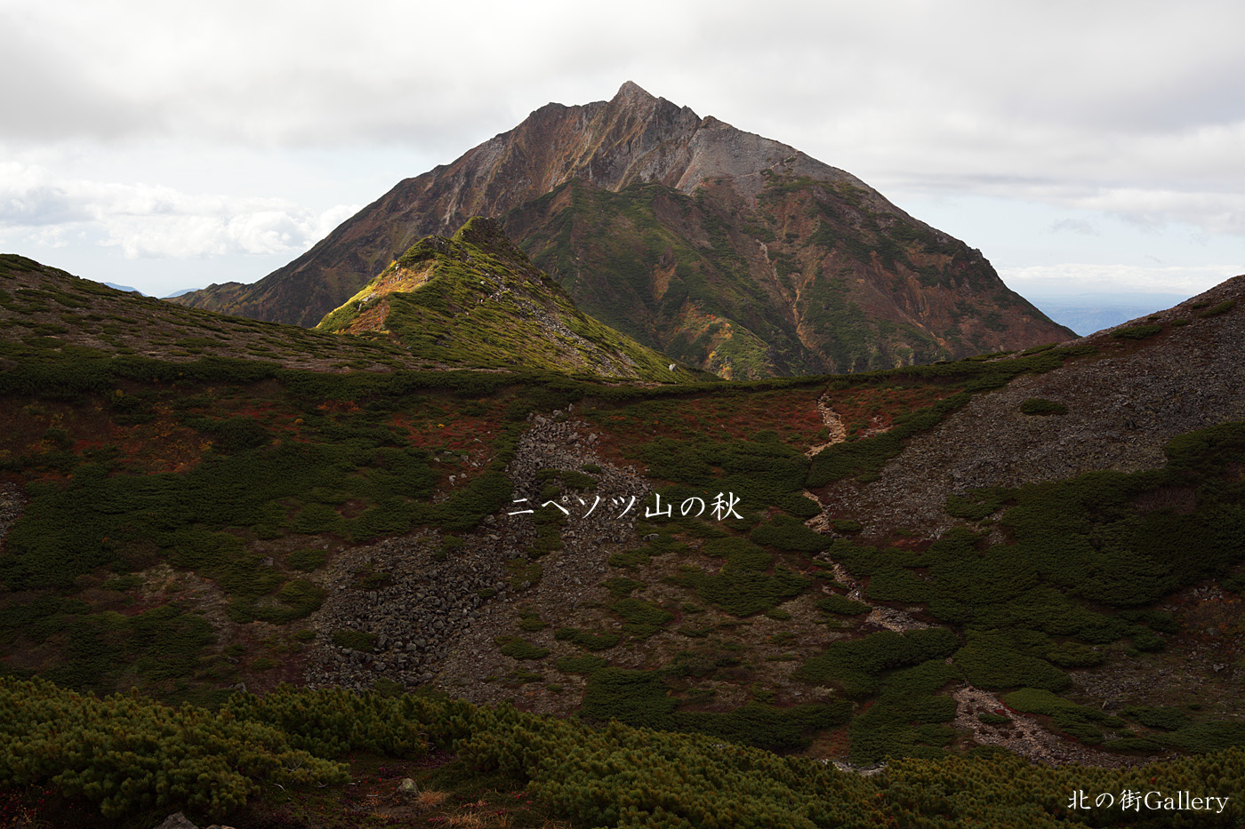 ニペソツ山_c0073613_0332337.jpg