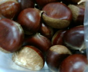 I　LOVE　栗_f0206213_1861258.jpg