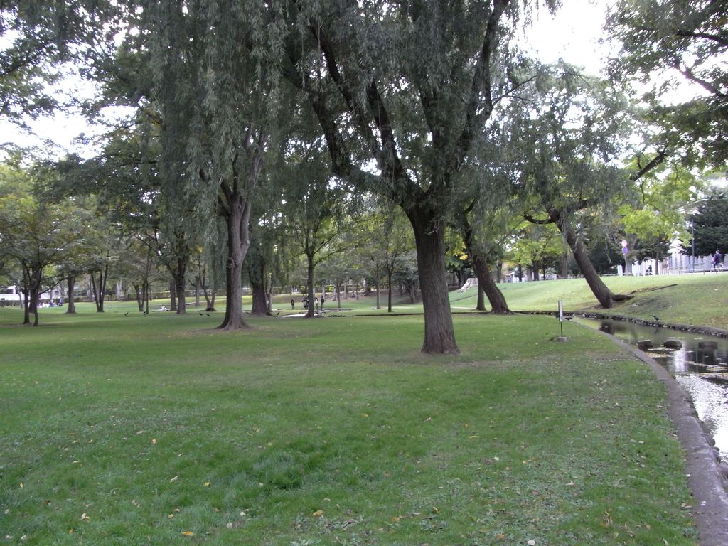 c0025115_1715498.jpg
