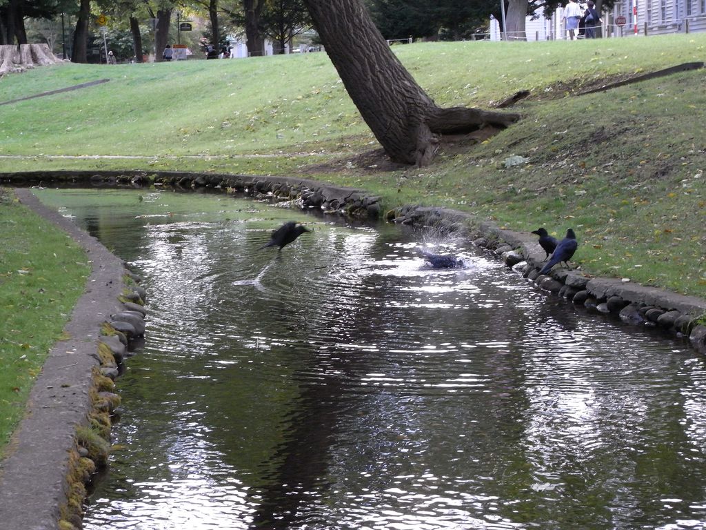 c0025115_1718222.jpg
