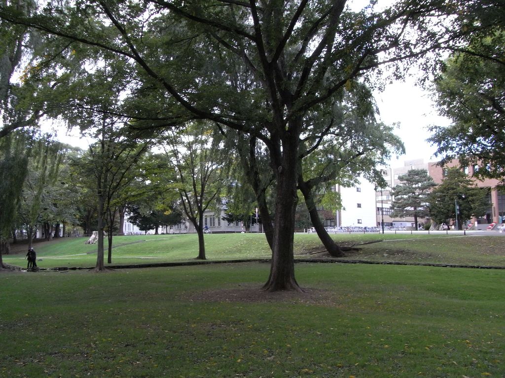 c0025115_17273111.jpg