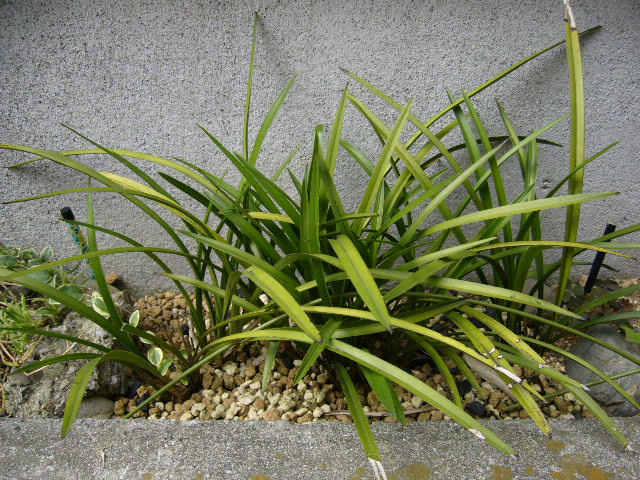 d0000324_13302774.jpg
