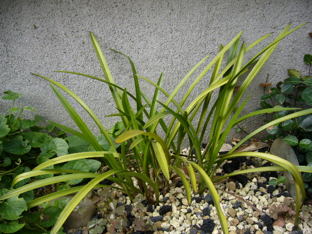 d0000324_13304083.jpg