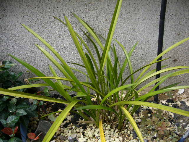 d0000324_13305399.jpg